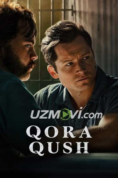 Qora qush