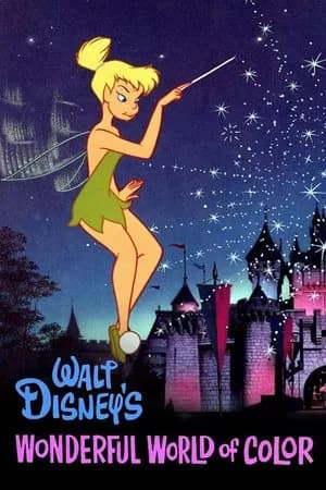 The Magical World of Disney