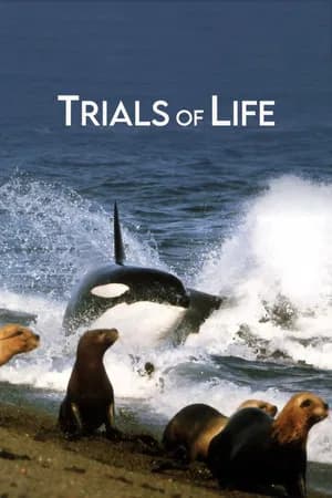 The Trials of Life