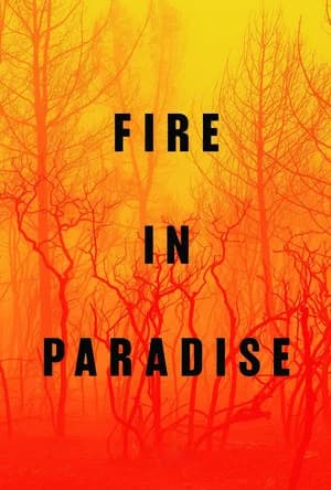 Fire in Paradise