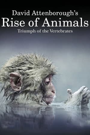 Rise of Animals: Triumph of the Vertebrates