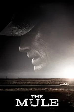 The Mule