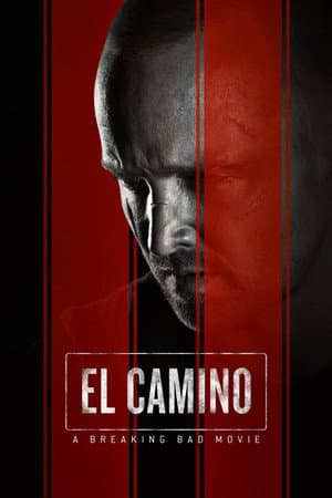 El Camino